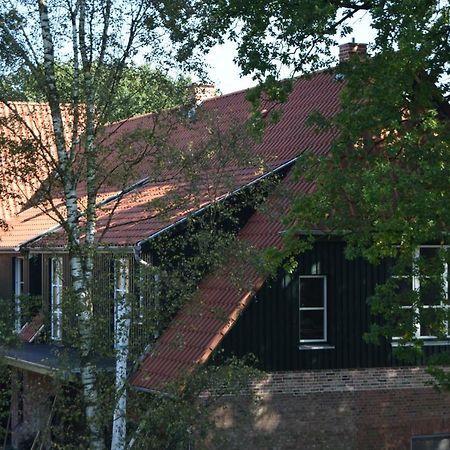 Ferien Hohes Elbufer Hotel Schnakenbek Kültér fotó